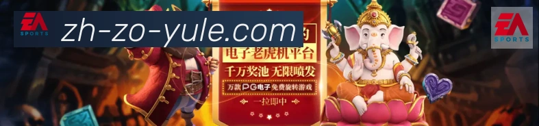 中欧体育APP服务体系